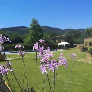 Alba Morus Bed E Breakfast Sentiti A Casa Nel Cuore Della Toscana Bed & Breakfast Arezzo